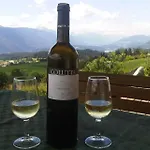Giorgio Colutta