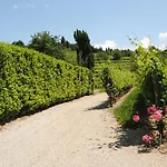 Giorgio Colutta *