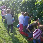 Alojamento de Turismo Rural Giorgio Colutta *