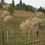 Giorgio Colutta