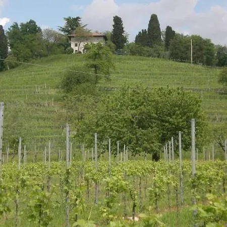 Giorgio Colutta Κατάλυμα σε φάρμα