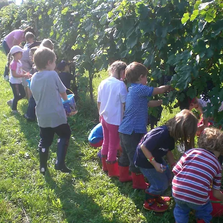 Κατάλυμα σε φάρμα Giorgio Colutta *