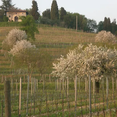 Giorgio Colutta
