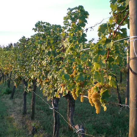 Giorgio Colutta Farmház