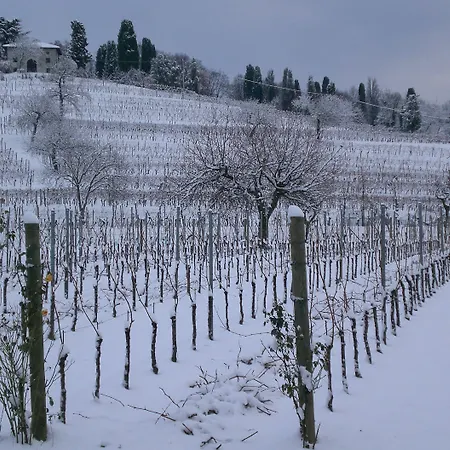 Giorgio Colutta Κατάλυμα σε φάρμα Manzano