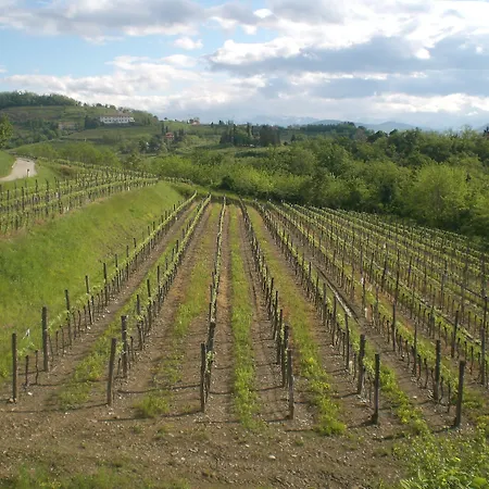 Giorgio Colutta Κατάλυμα σε φάρμα *