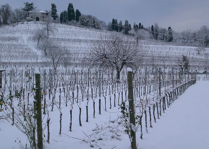 Giorgio Colutta Vakantieboerderij Manzano